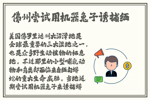 蜜芽免费观看入口